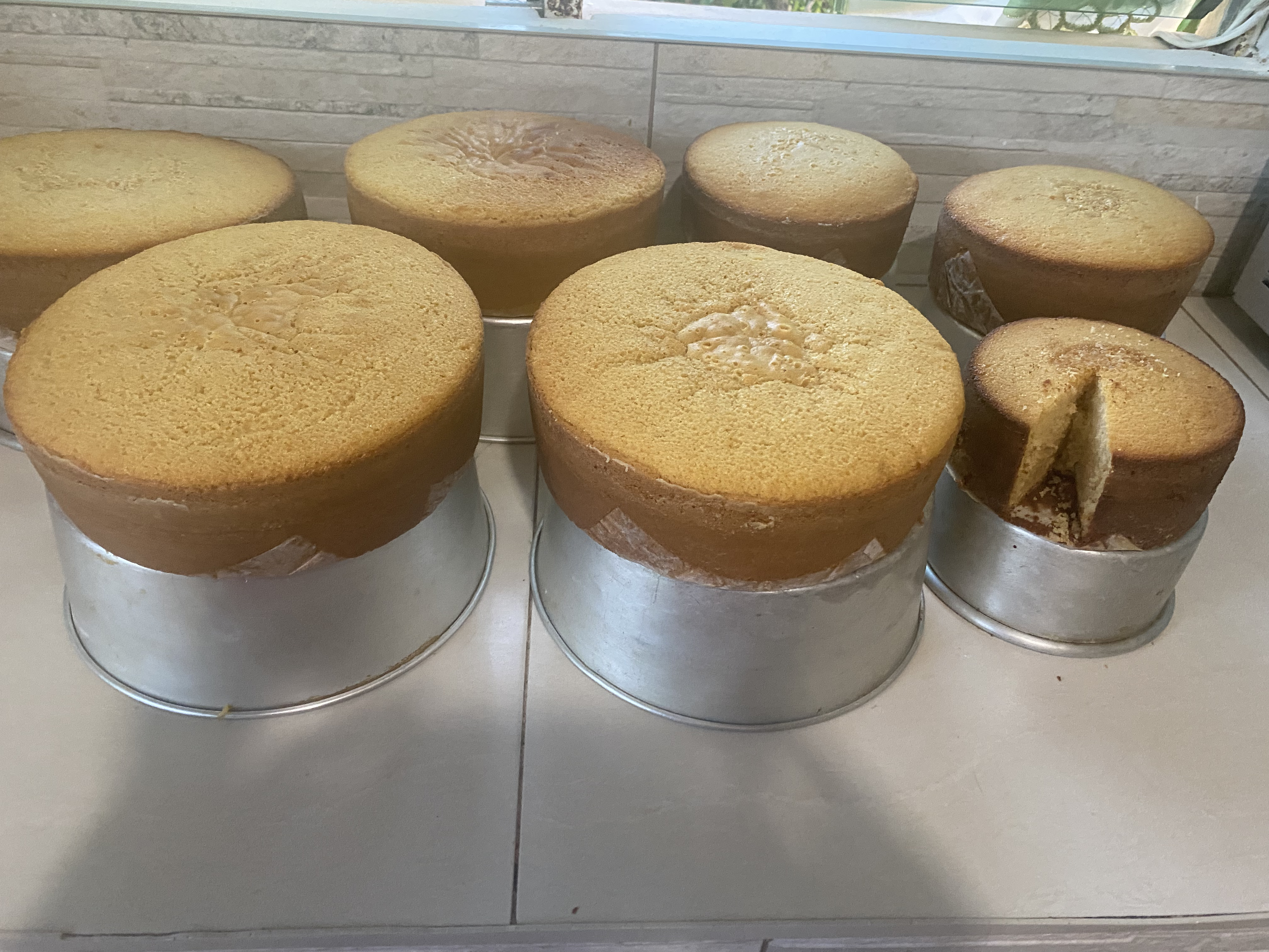 Sponge Cake